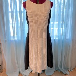 RN Studio by Ronnie Nicole dress